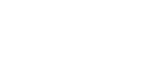 Smart Visionary Solutions